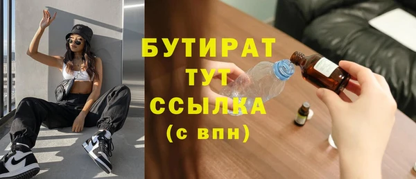 индика Апатиты