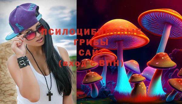 соль курить ск Корсаков