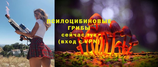 спайс Коряжма
