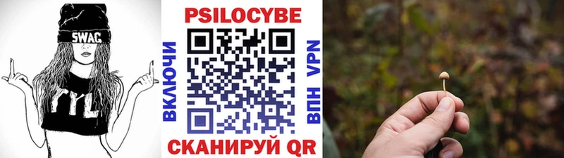 Галлюциногенные грибы Cubensis Лесосибирск